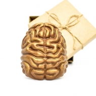 Шоколадный Мозг 8,3 x 6,8 x 2,8 см (209)